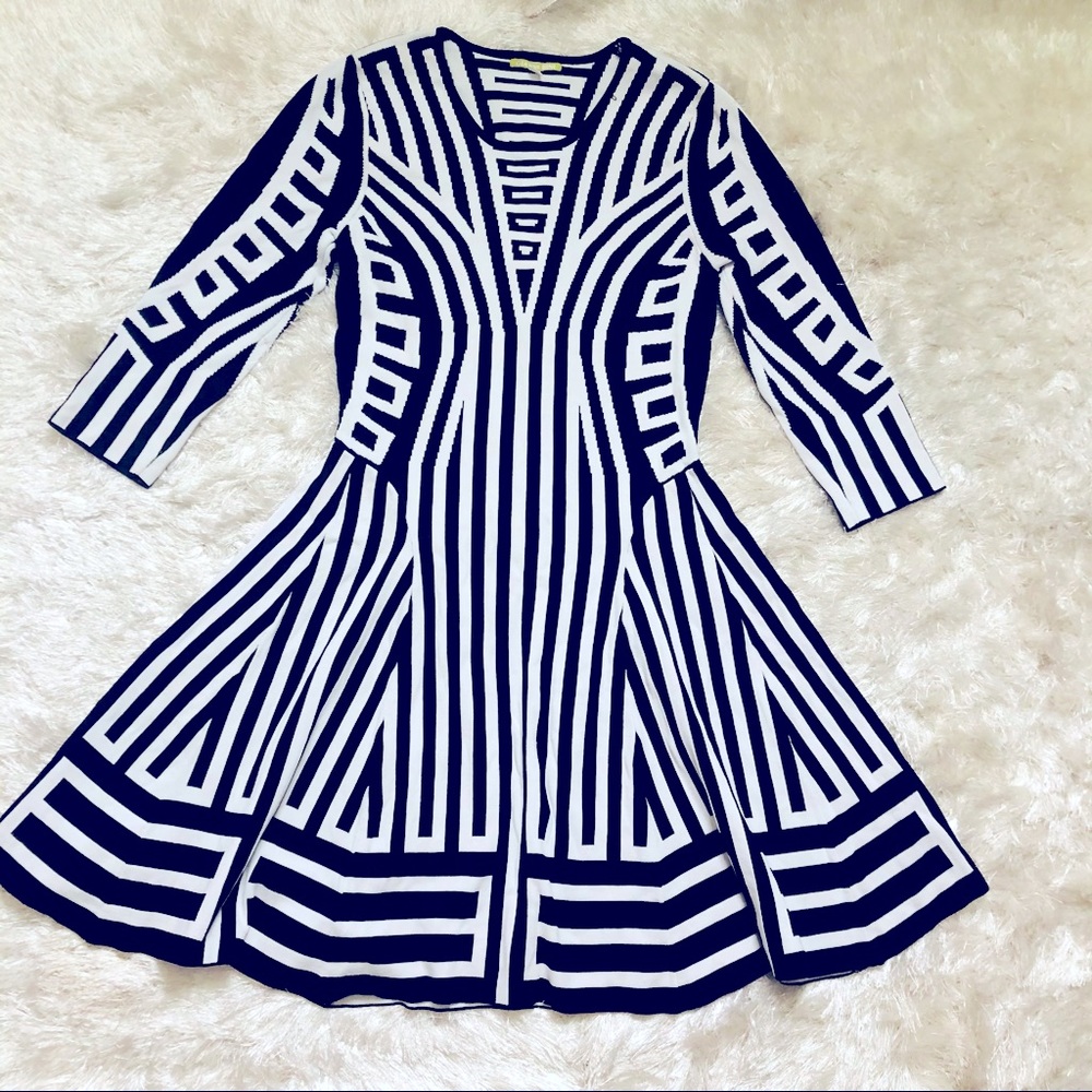 Gianni Bini Skater Dress